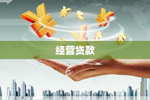 明山经营贷款
