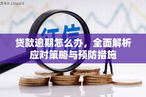 明山贷款逾期怎么办，全面解析应对策略与预防措施