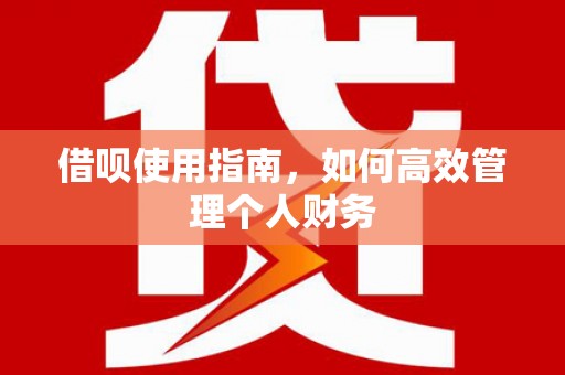 明山借呗使用指南，如何高效管理个人财务