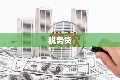明山税务贷