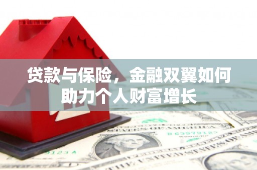 明山贷款与保险，金融双翼如何助力个人财富增长