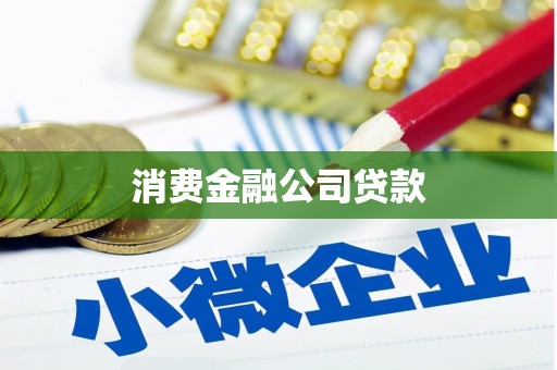 明山消费金融公司贷款