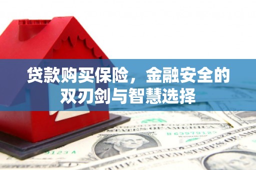 明山贷款购买保险，金融安全的双刃剑与智慧选择