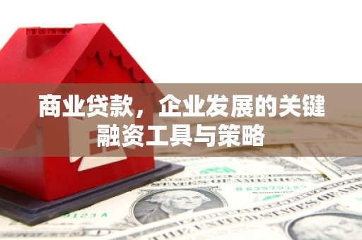 明山商业贷款，企业发展的关键融资工具与策略
