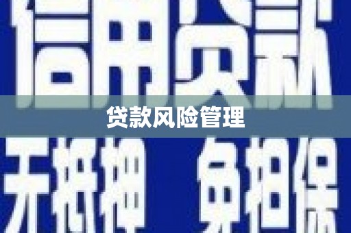 明山贷款风险管理