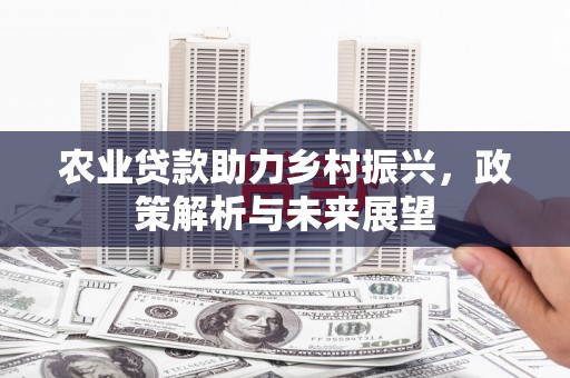 明山农业贷款助力乡村振兴，政策解析与未来展望