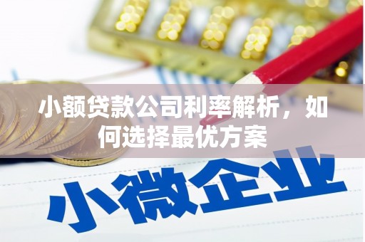 明山小额贷款公司利率解析，如何选择最优方案