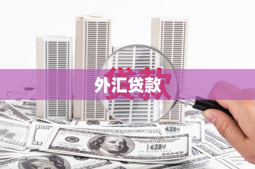 明山外汇贷款