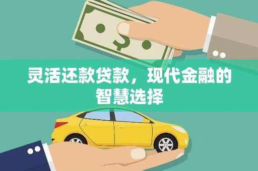 明山灵活还款贷款，现代金融的智慧选择