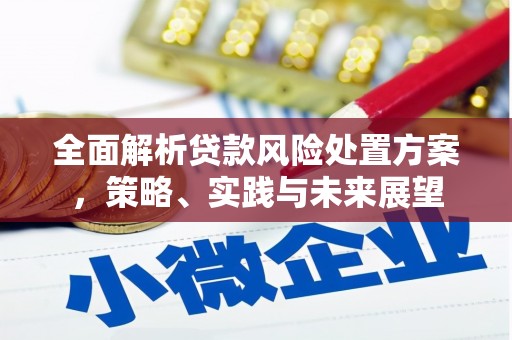 明山全面解析贷款风险处置方案，策略、实践与未来展望