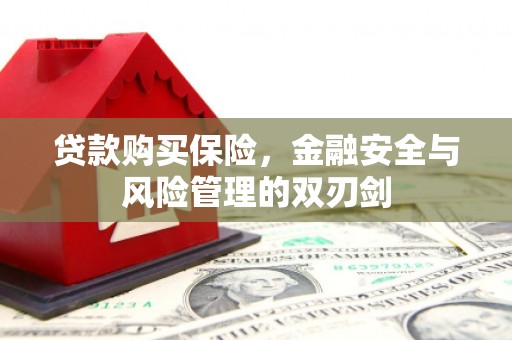 明山贷款购买保险，金融安全与风险管理的双刃剑