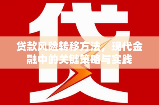 明山贷款风险转移方法，现代金融中的关键策略与实践