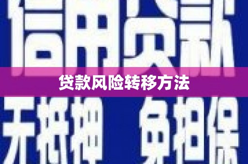 明山贷款风险转移方法