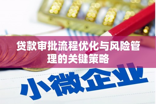 明山贷款审批流程优化与风险管理的关键策略