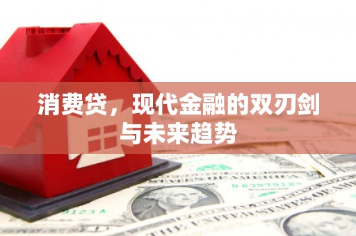 明山消费贷，现代金融的双刃剑与未来趋势