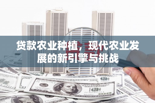 明山贷款农业种植，现代农业发展的新引擎与挑战