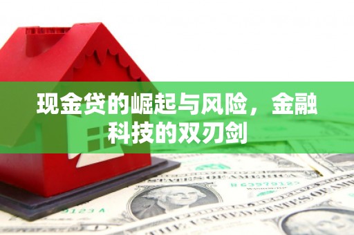 明山现金贷的崛起与风险，金融科技的双刃剑