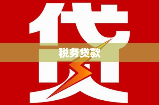 明山税务贷款