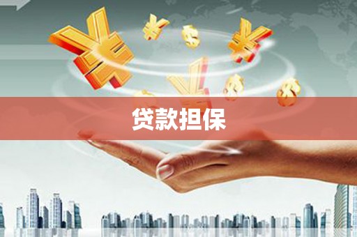 明山贷款担保