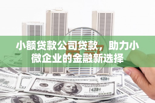 明山小额贷款公司贷款，助力小微企业的金融新选择