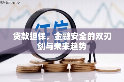 明山贷款担保，金融安全的双刃剑与未来趋势