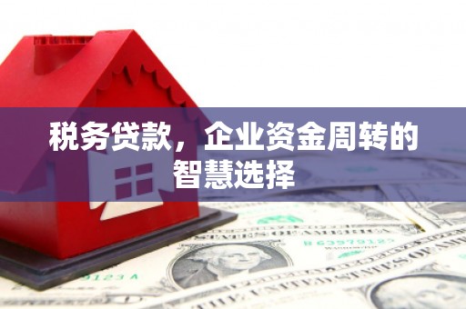 明山税务贷款，企业资金周转的智慧选择