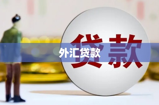 明山外汇贷款