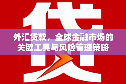 明山外汇贷款，全球金融市场的关键工具与风险管理策略