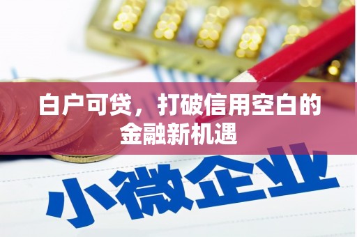 明山白户可贷，打破信用空白的金融新机遇