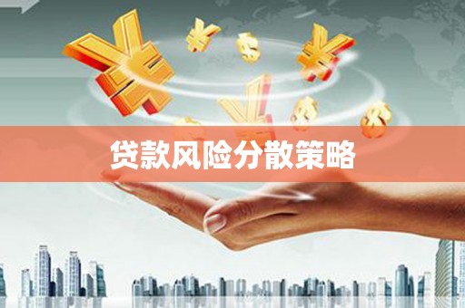 明山贷款风险分散策略