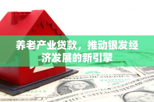 明山养老产业贷款，推动银发经济发展的新引擎