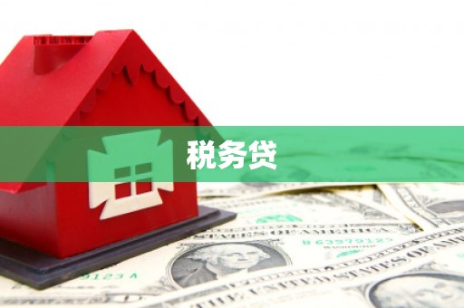 明山税务贷
