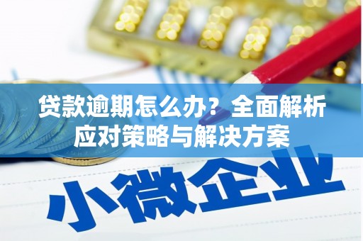 明山贷款逾期怎么办？全面解析应对策略与解决方案