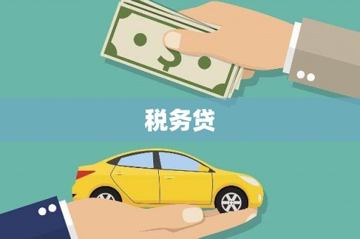 明山税务贷