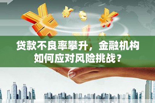 明山贷款不良率攀升，金融机构如何应对风险挑战？