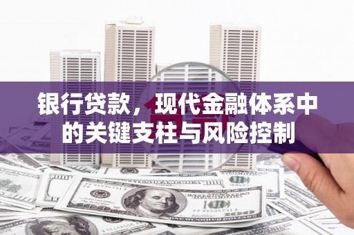 明山银行贷款，现代金融体系中的关键支柱与风险控制