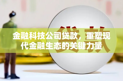 明山金融科技公司贷款，重塑现代金融生态的关键力量