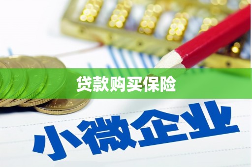 明山贷款购买保险