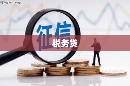 明山税务贷