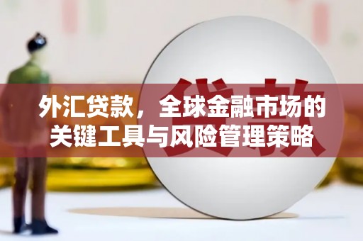 明山外汇贷款，全球金融市场的关键工具与风险管理策略