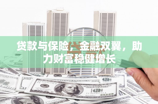 明山贷款与保险，金融双翼，助力财富稳健增长