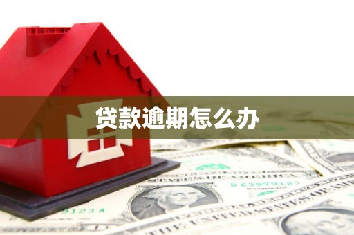 明山贷款逾期怎么办
