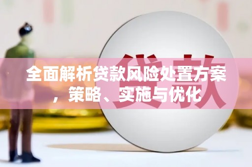明山全面解析贷款风险处置方案，策略、实施与优化