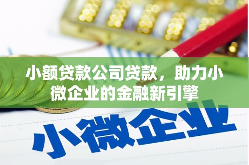明山小额贷款公司贷款，助力小微企业的金融新引擎