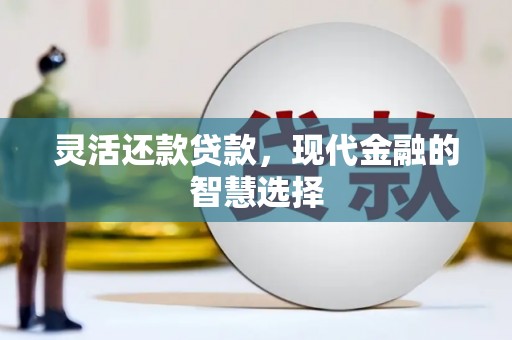明山灵活还款贷款，现代金融的智慧选择
