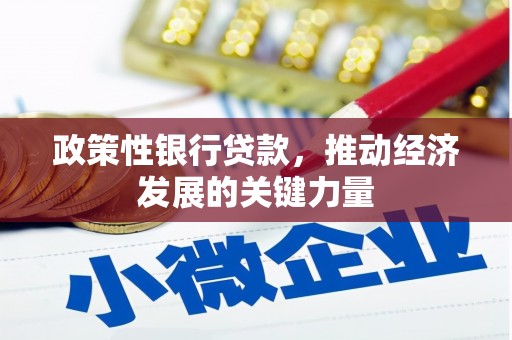 明山政策性银行贷款，推动经济发展的关键力量