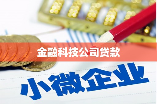 明山金融科技公司贷款