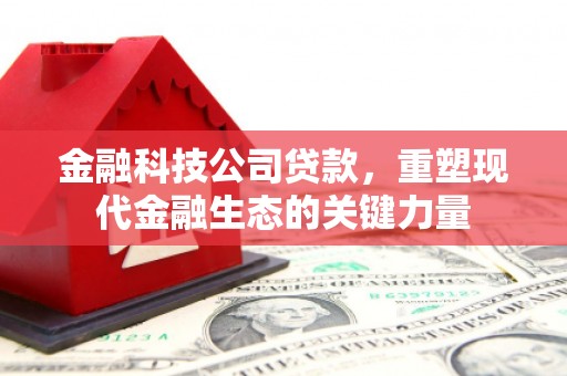 明山金融科技公司贷款，重塑现代金融生态的关键力量