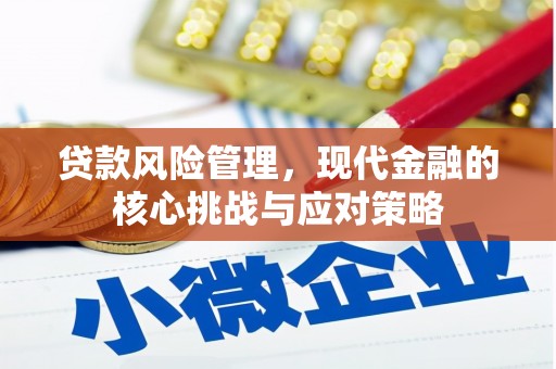 明山贷款风险管理，现代金融的核心挑战与应对策略