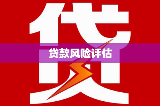 明山贷款风险评估